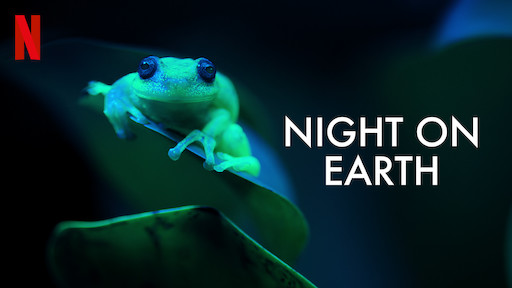 Night on Earth | Netflix Official Site